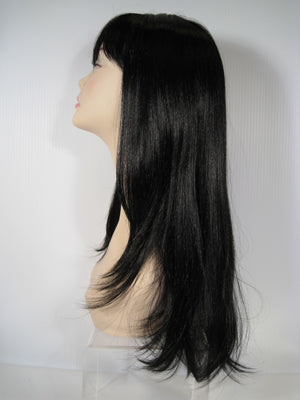 Black Long Straight Wig