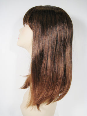 Two-Tone Long Straight Wig