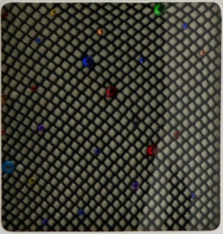 Rhinestone Fishnet Pantyhose
