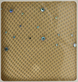 Rhinestone Fishnet Pantyhose