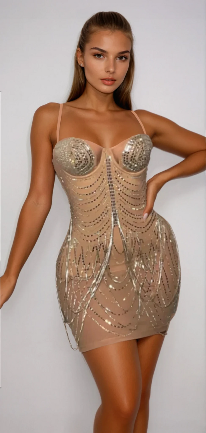 Embellished Rhinestone Dress