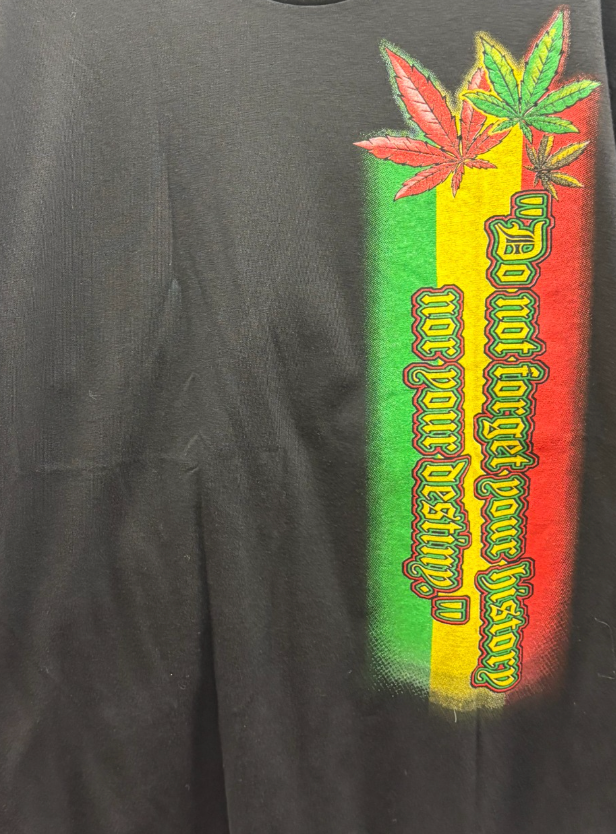 Lion Legacy Graphic Tee Shirt – “Do Not Forget Your History Nor Your Destiny”